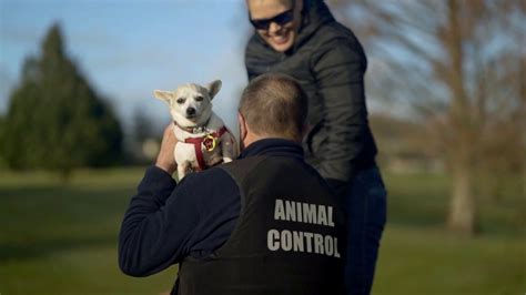 Animal services took dog